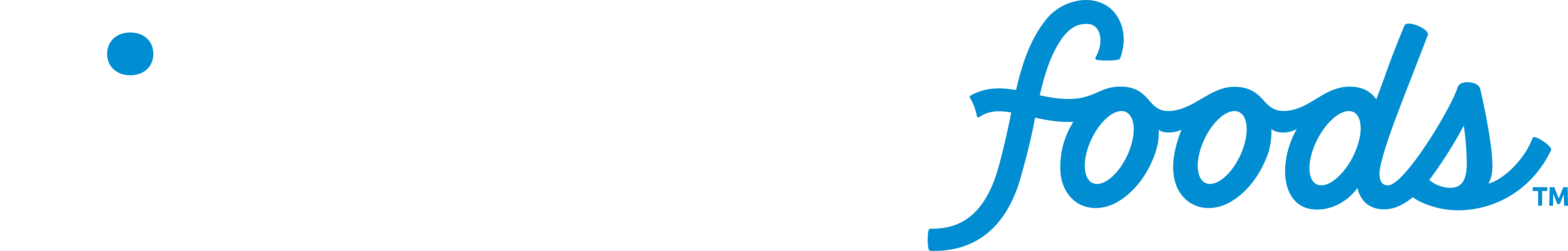 Litehouse Foods